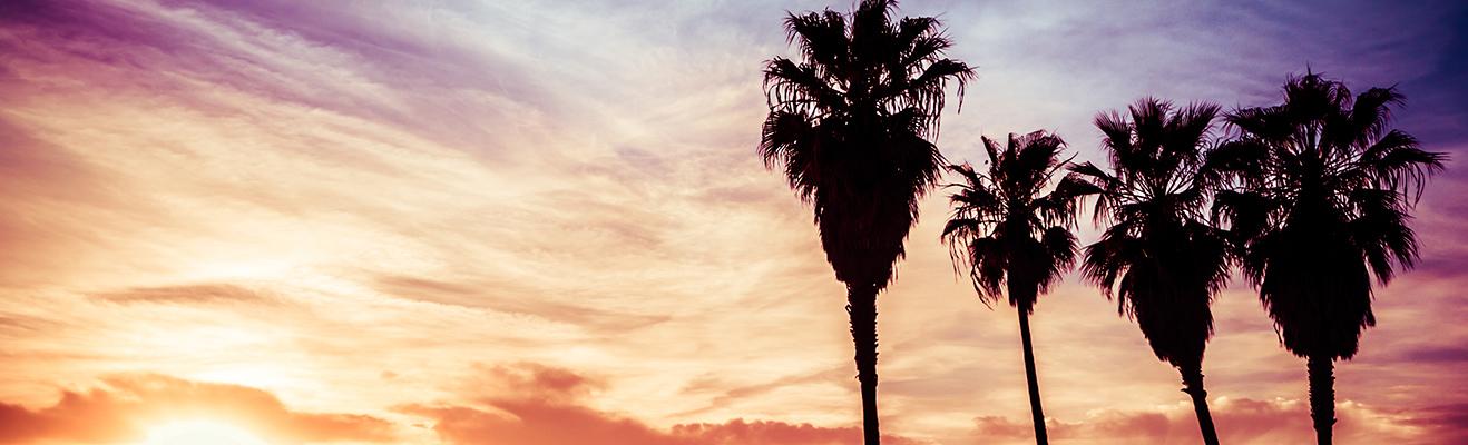 California Thumbnail
