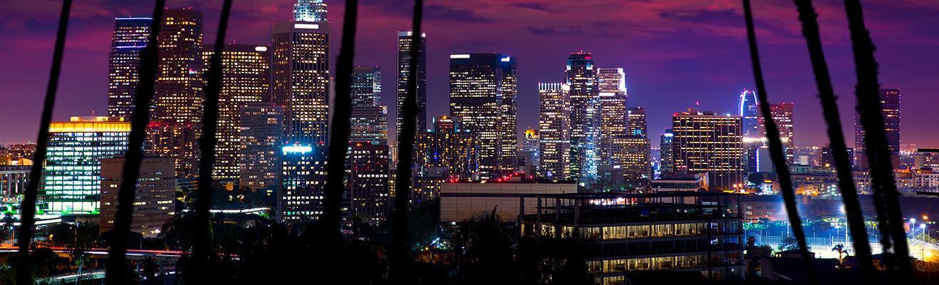Los Angeles Thumbnail