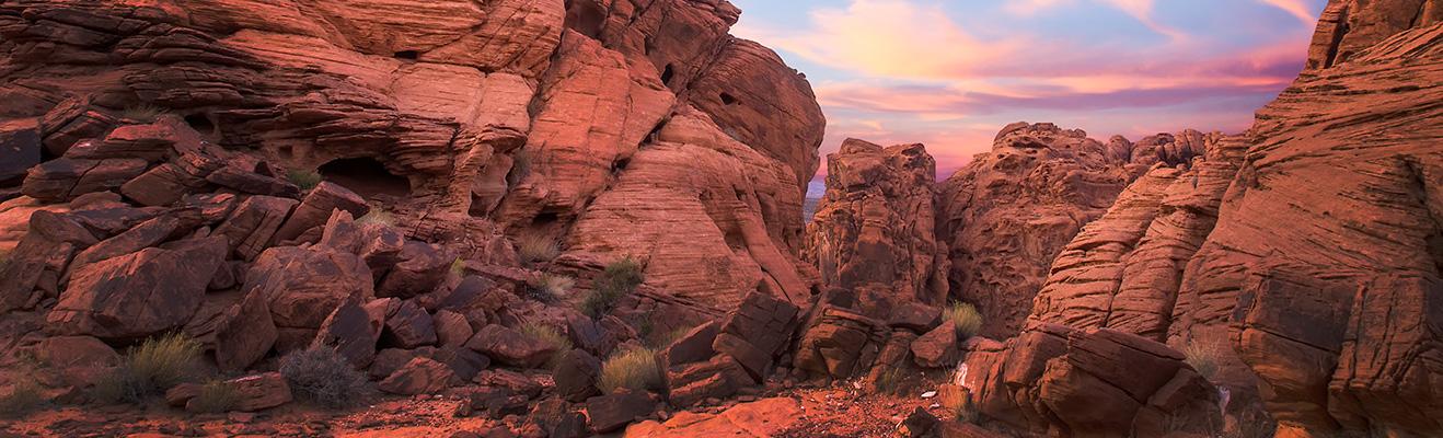 Nevada Thumbnail
