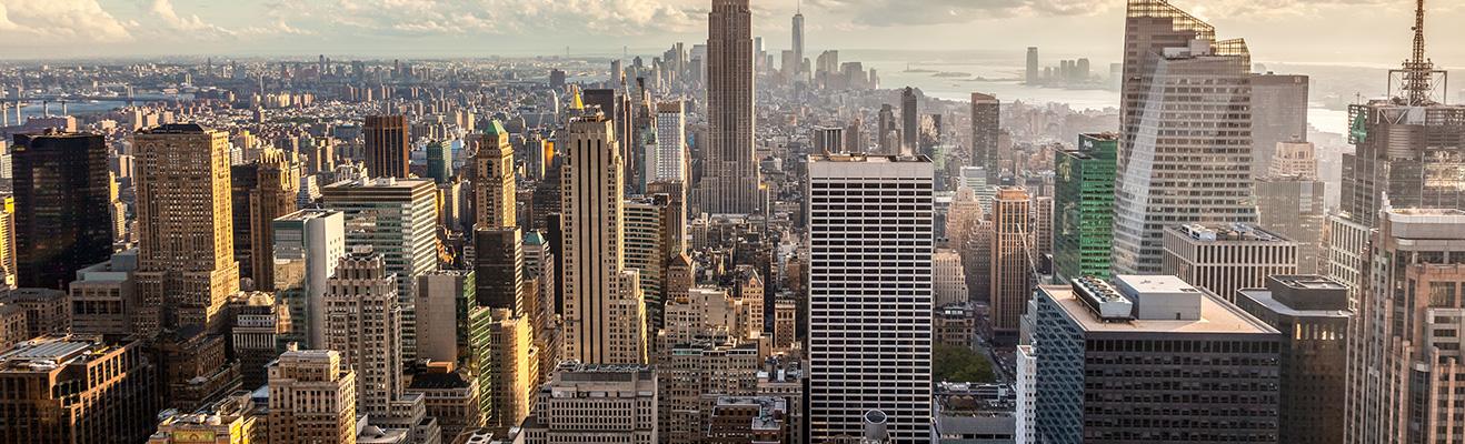 New York city Thumbnail