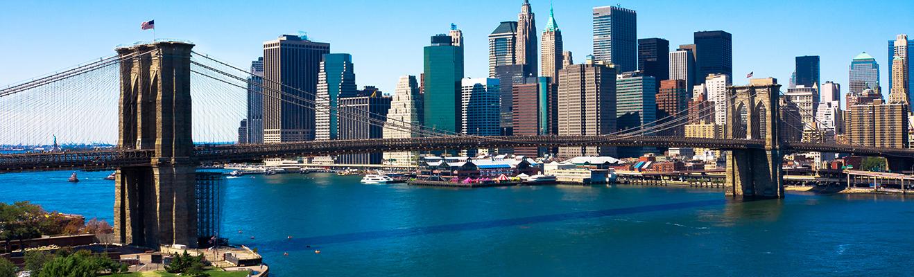 New York Thumbnail