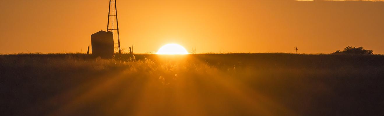 Texas Thumbnail