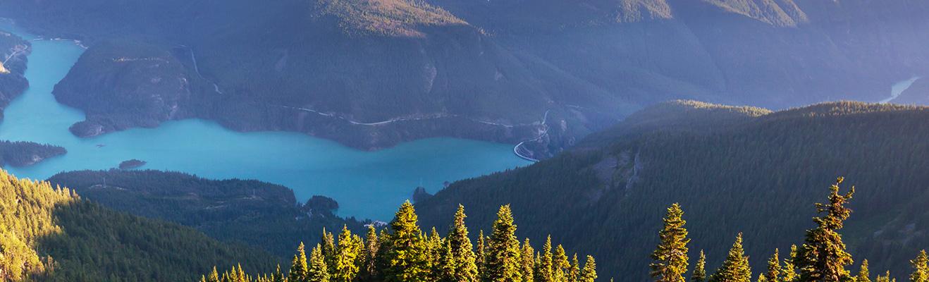 Washington Thumbnail