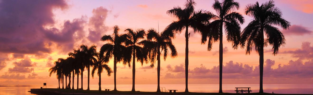 Florida Thumbnail
