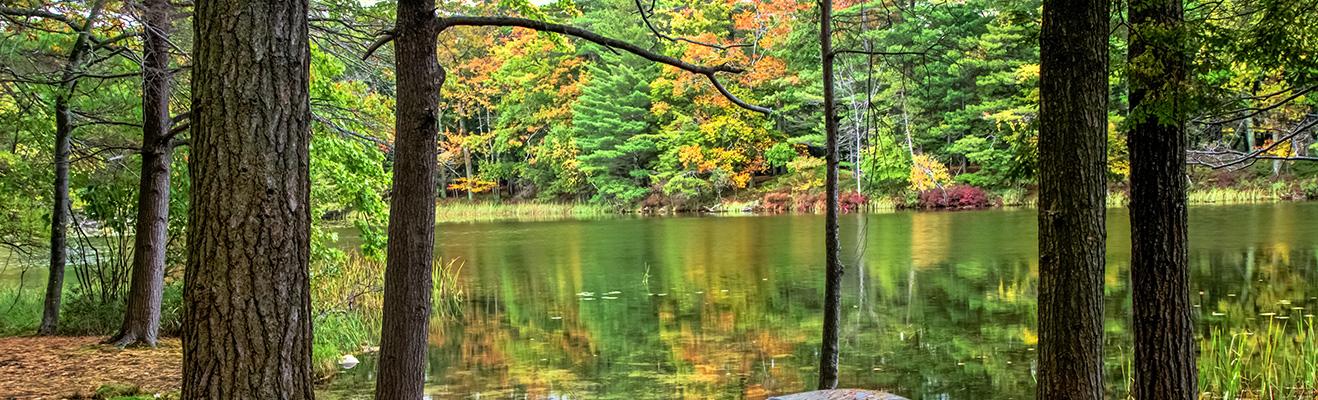 Michigan Thumbnail
