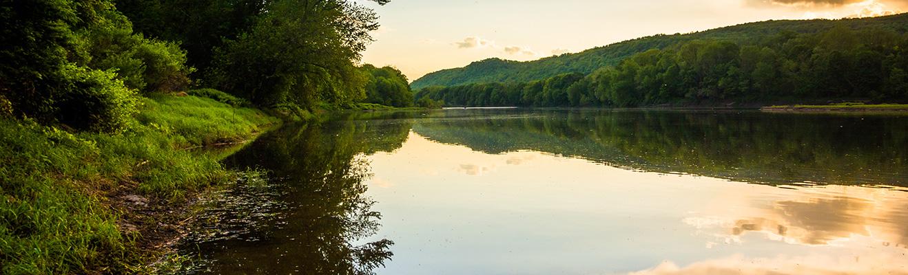 Delaware Thumbnail