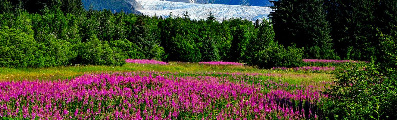 Teaching jobs in Alaska Thumbnail