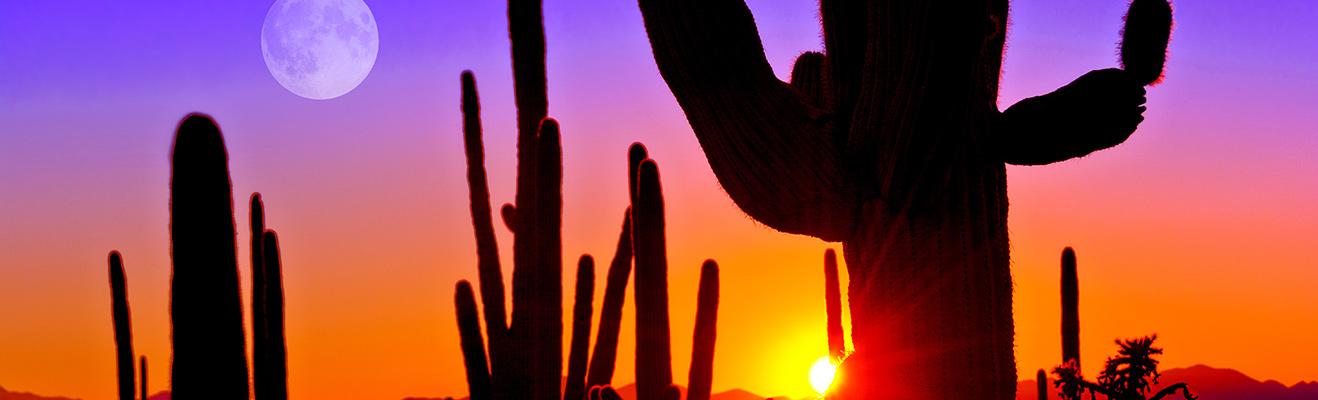 Arizona Thumbnail
