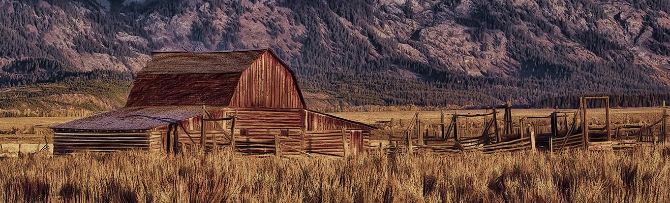 Wyoming Thumbnail