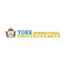 school York International Kindergarten logo