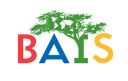 school Banjul American International School logo