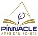 school Pinnacle American School logo
