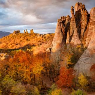 teach in bulgaria