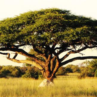 Teach in Sudan