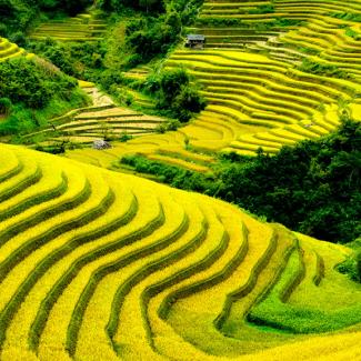 Teaching English in Vietnam