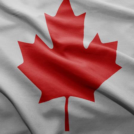 Canadian International Schools Canadian International Schools