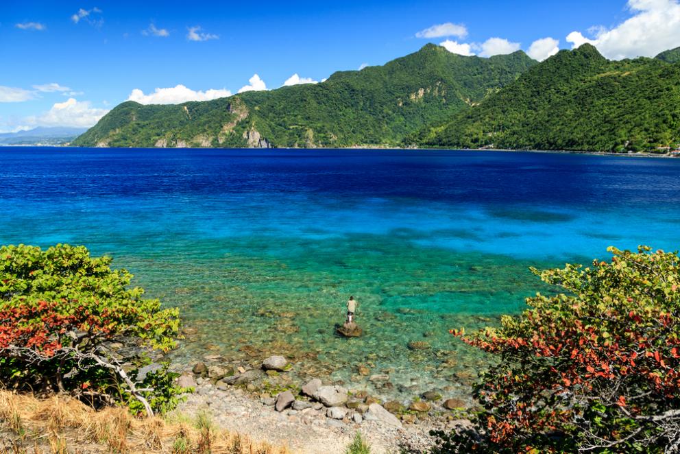 teach in dominica