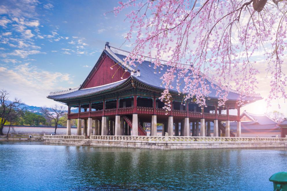 pagoda in south korea nestled behind a pink flowery tree