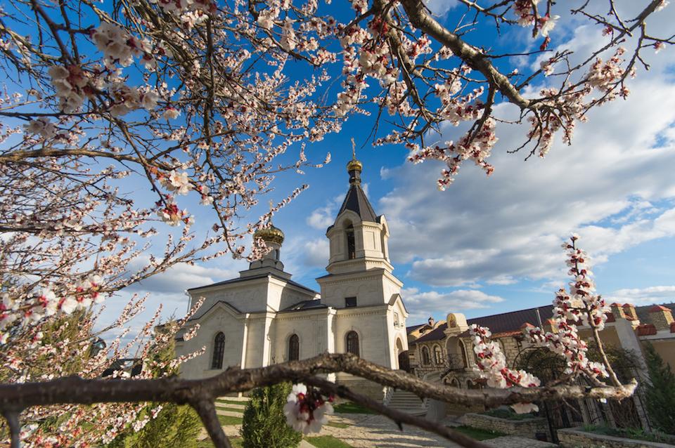 teach in moldova