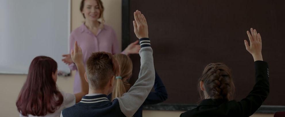 Pro Teachers