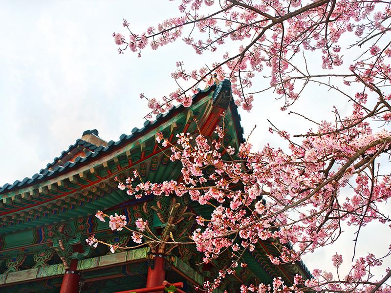 Getting Your Visa for Public Schools in Korea (EPIK)