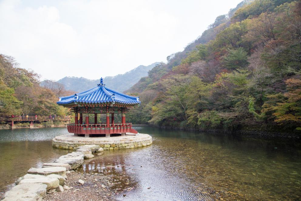 Teaching in Jeonbuk