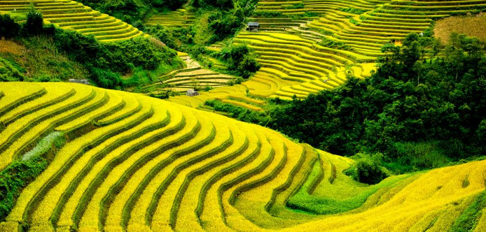 teach English in Vietnam teach English in Vietnam