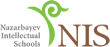 Nazarbayev logo
