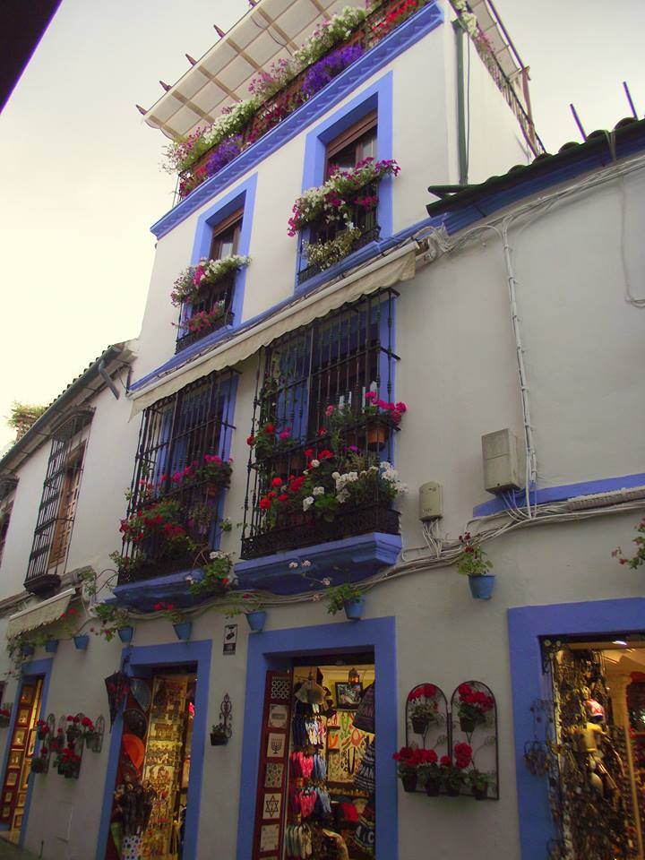 teach english in spain