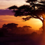 Teach in Kenya