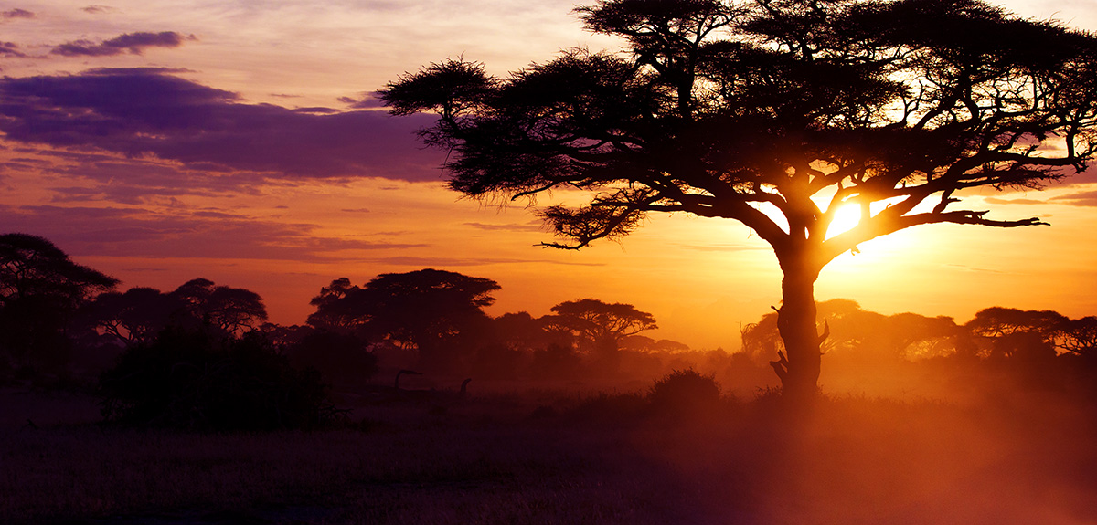 Teach in Kenya