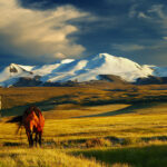 Teach in Mongolia