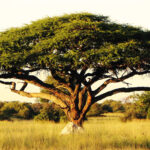 Teach in Sudan