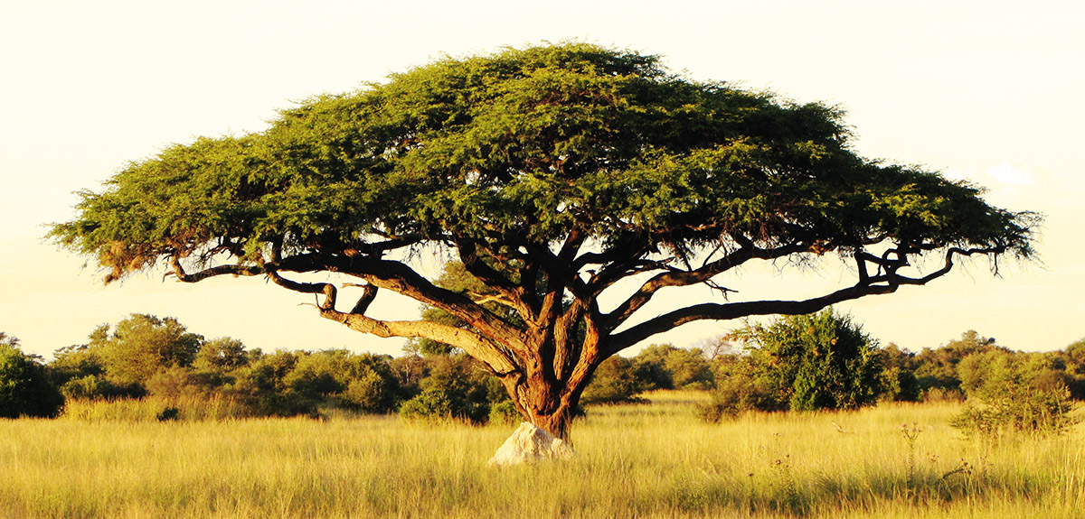 Teach in Sudan