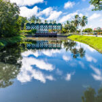 teach in suriname
