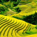 Rolling green hills and rice paddies of Vietnam for ESL teachers to enjoy while teaching English in Vietnam