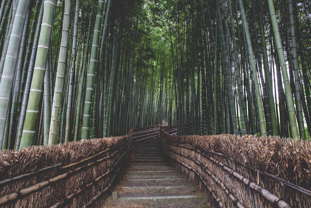 teaching requirements japan