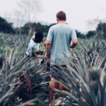 Teach in Uganda