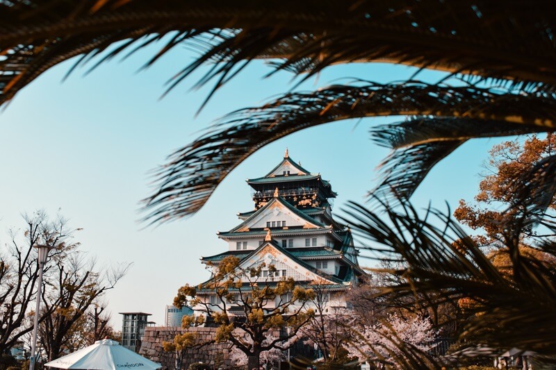 can I teach english in japan without degree