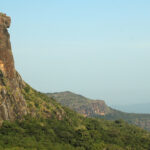 Teach in Guinea