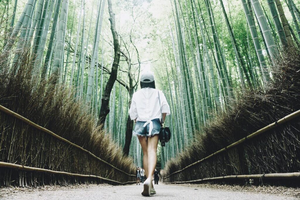 Best programs to teach English in Japan