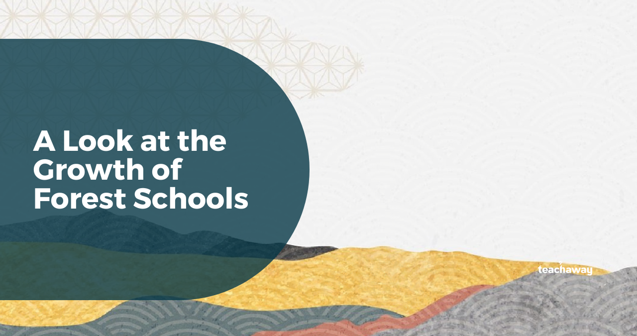 forest schools blog banner